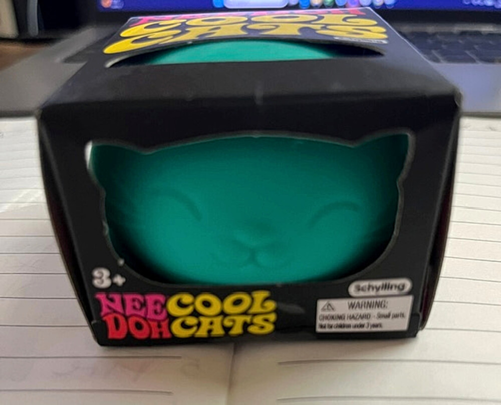 Schylling NeeDoh Cool Cats Squeeze Toy Teal Cat 3 Plus